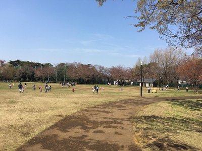 🏞️ 카시노미야 공원